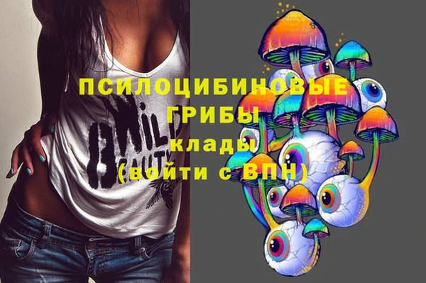 индика Алексеевка