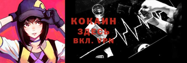 ECSTASY Алзамай